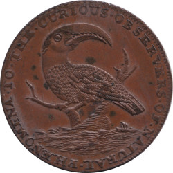 Ireland - Token - 1/2 penny...